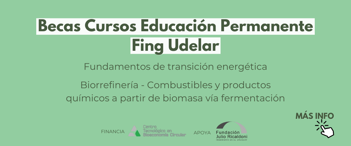 Becas para fortalecer capacidades en Bioeconomía Circular